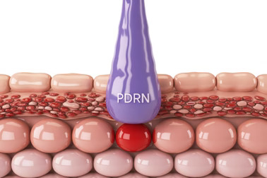 can pdrn really slow down the skin aging clock