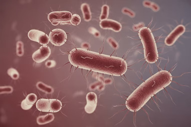 skin microbiome