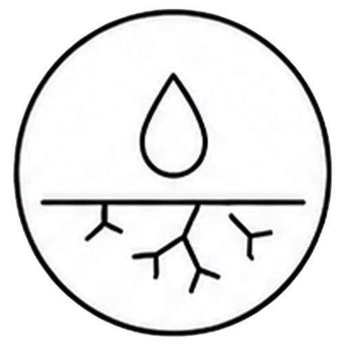 dehydrated icon1