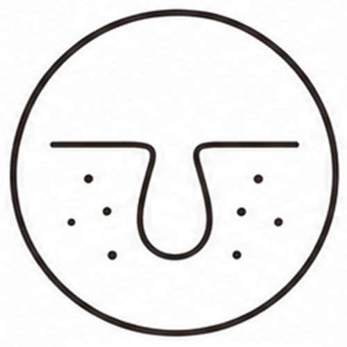 visible pore